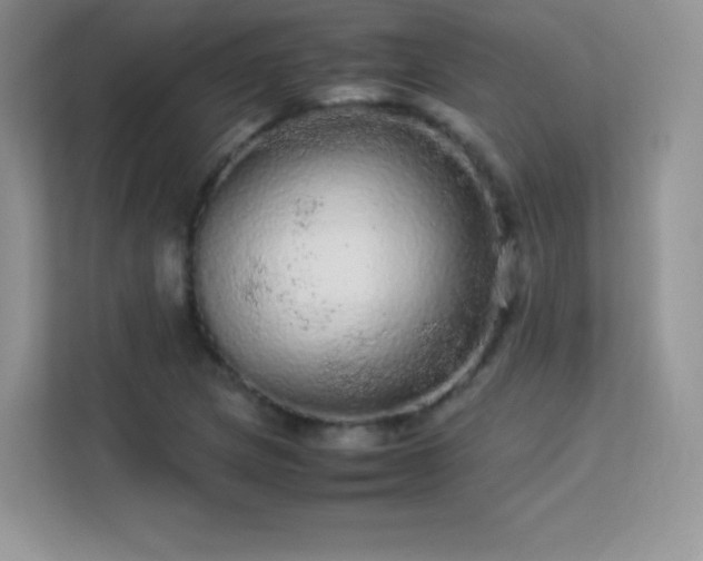 X0000113561217200909251051
