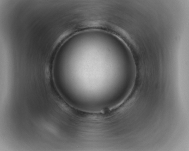 X0000113561218200909251051