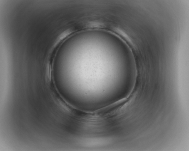 X0000113561219200909251051