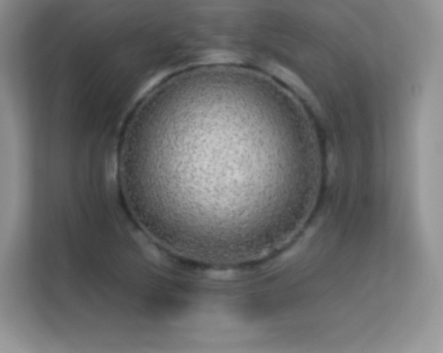 X0000113561220200909251051