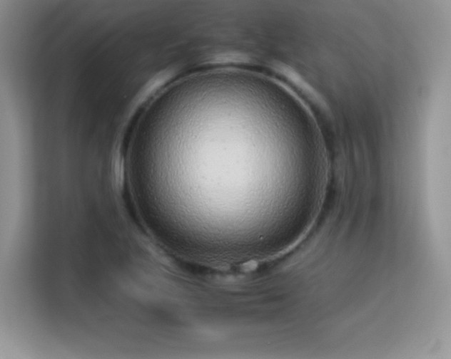 X0000113561221200909251051