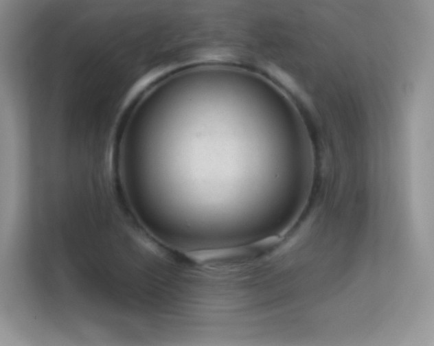 X0000113561222200909251052