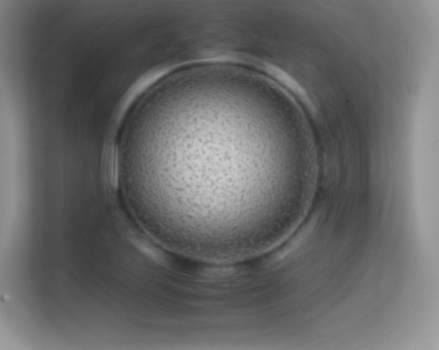 X0000113561223200909251052
