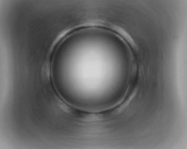 X0000113561224200909251052
