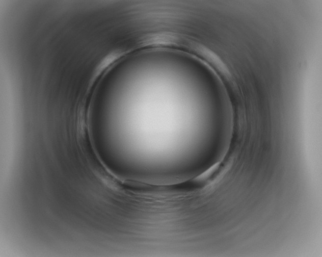 X0000113561226200909251052