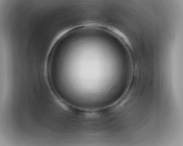 X0000113561231200909251052