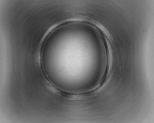 X0000113561232200909251052