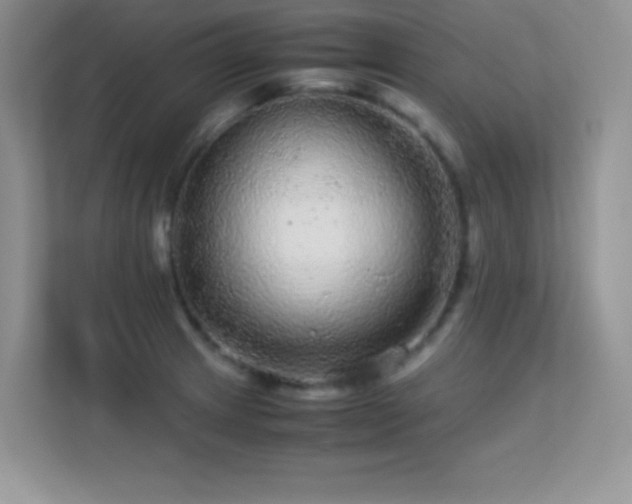 X0000113561233200909251052