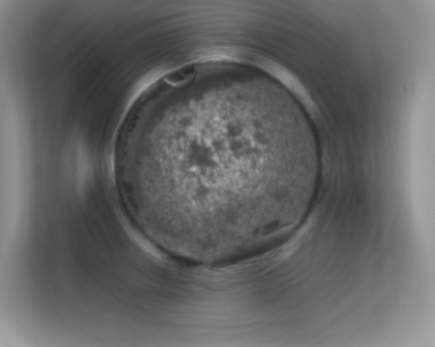 X0000113561234200909251052