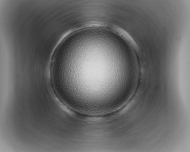 X0000113561236200909251052