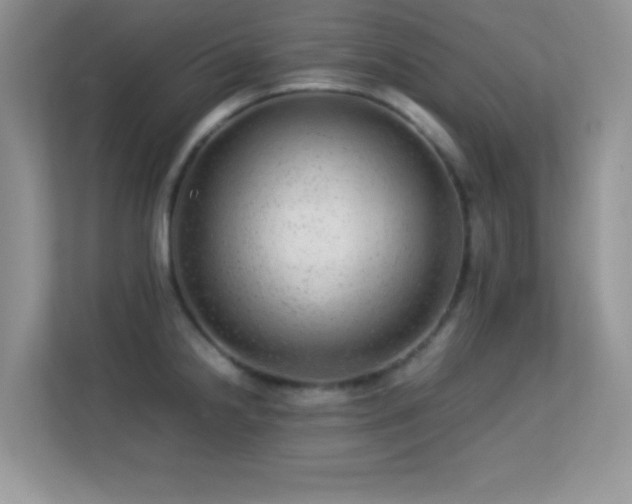 X0000113561238200909251052