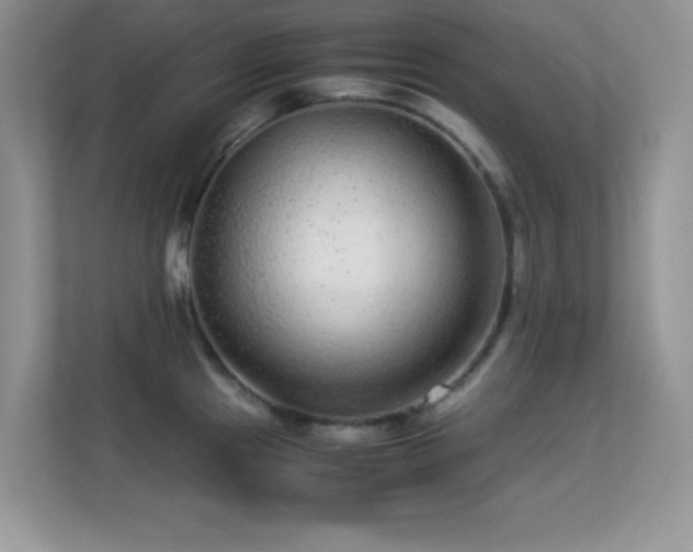 X0000113561241200909251052