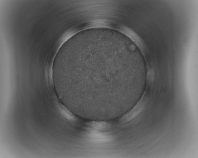 X0000113561242200909251052