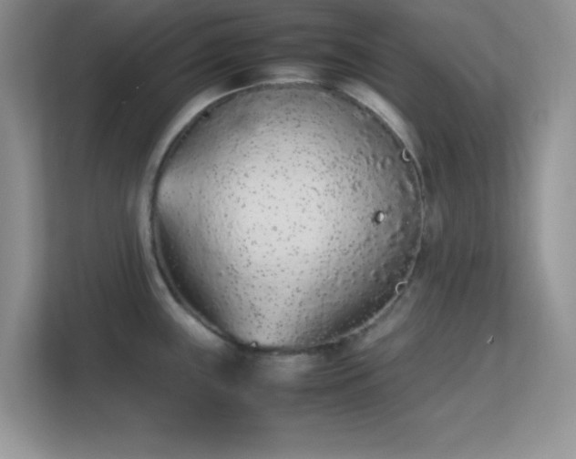 X0000113561243200909251052