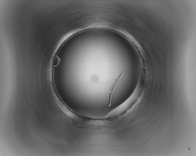 X0000113561246200909251052
