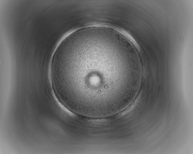 X0000113561247200909251052