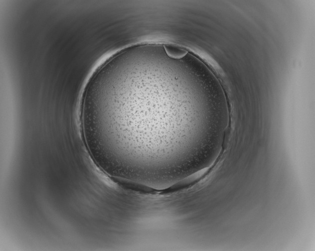 X0000113561248200909251052