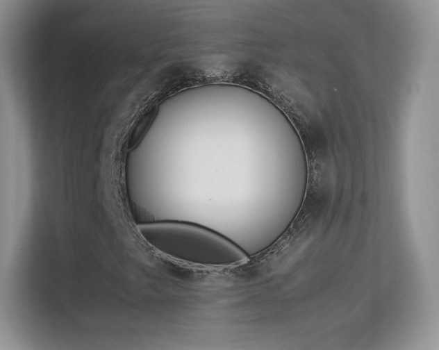 X0000113561249200909251051