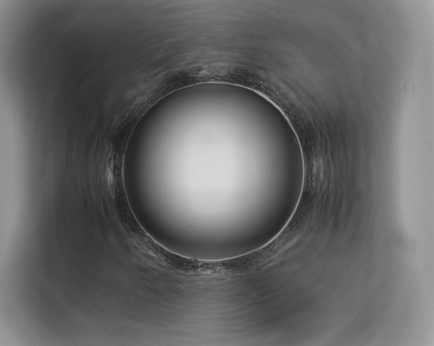 X0000113561250200909251051