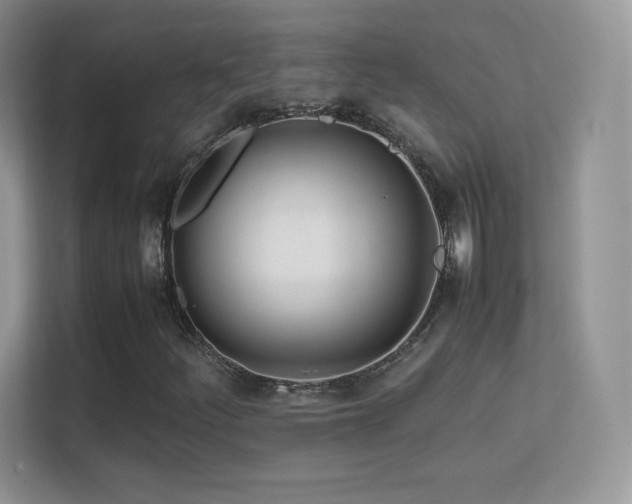 X0000113561252200909251051