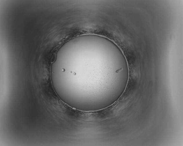 X0000113561253200909251051
