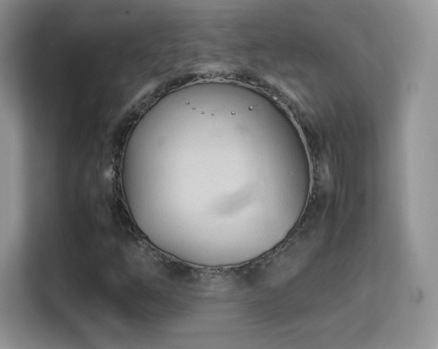 X0000113561254200909251051