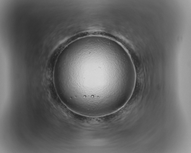 X0000113561255200909251051
