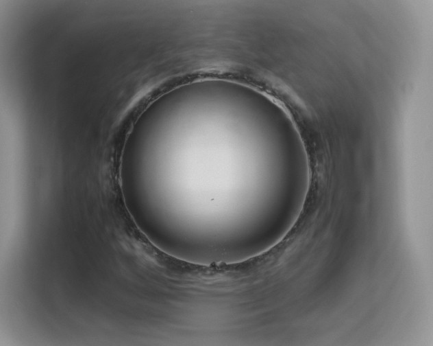 X0000113561256200909251051