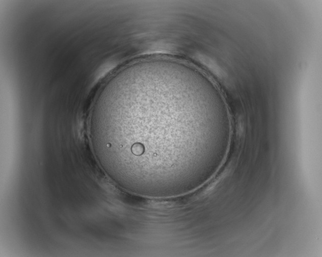 X0000113561258200909251051