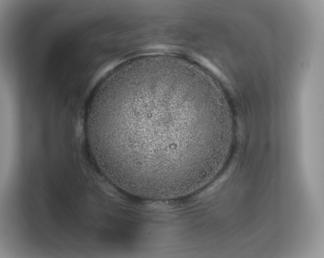 X0000113561259200909251051
