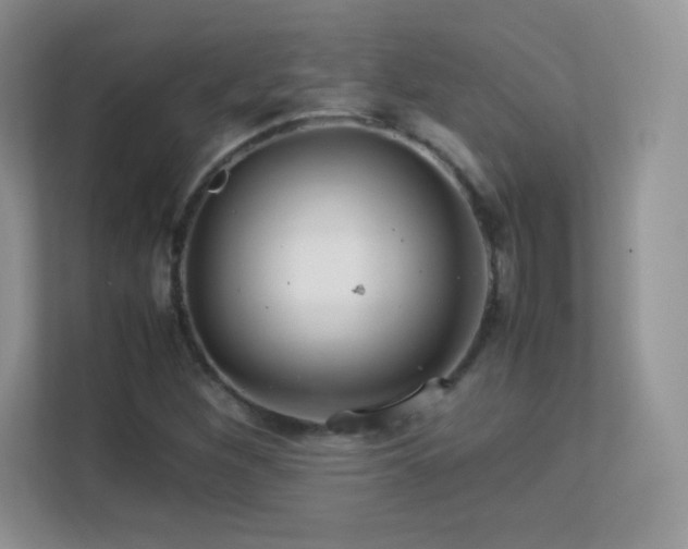 X0000113561260200909251051