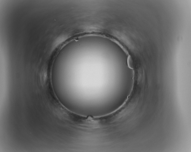 X0000113561261200909251051