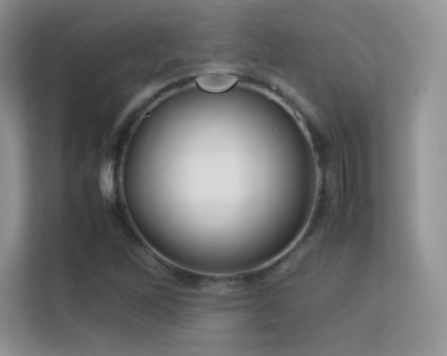 X0000113561262200909251051