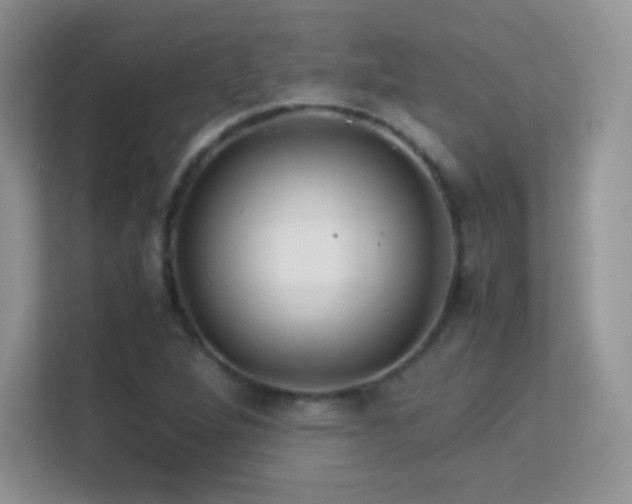 X0000113561264200909251051