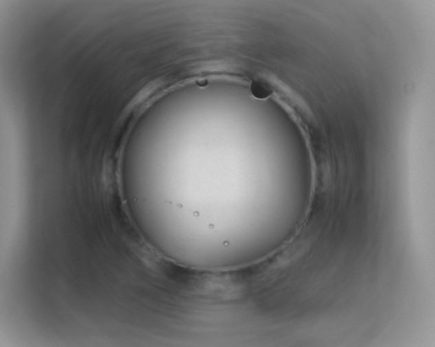X0000113561266200909251051