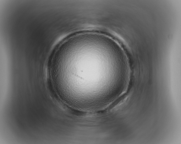 X0000113561267200909251051