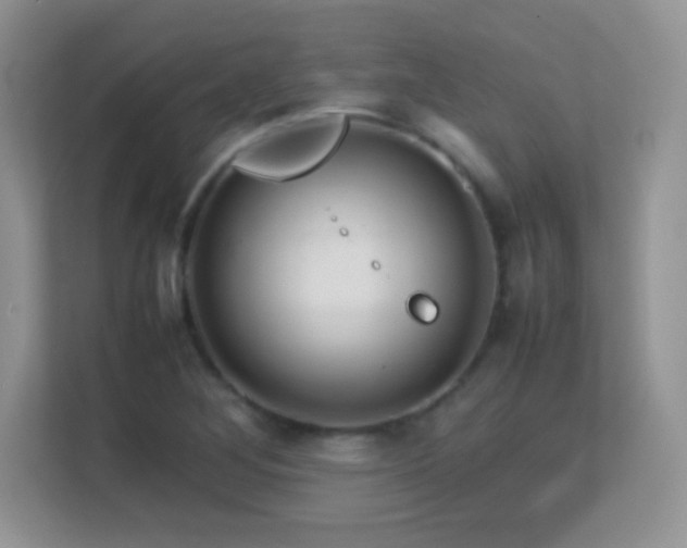 X0000113561268200909251051