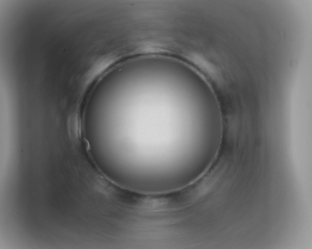 X0000113561269200909251051