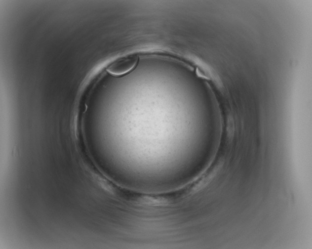 X0000113561270200909251051