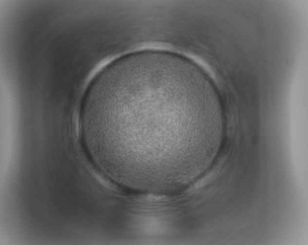 X0000113561271200909251051
