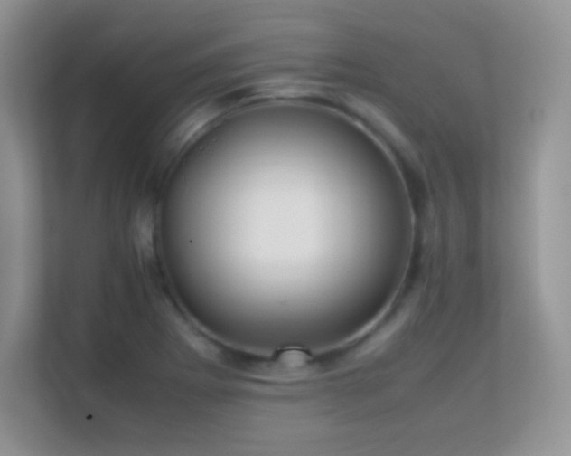 X0000113561273200909251051