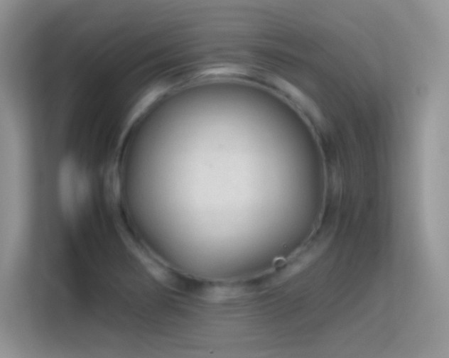 X0000113561274200909251051