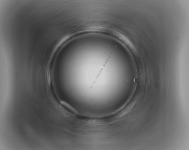 X0000113561275200909251051