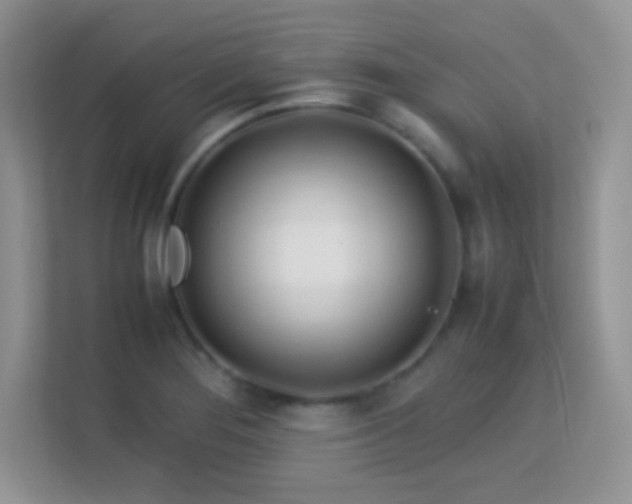 X0000113561276200909251051