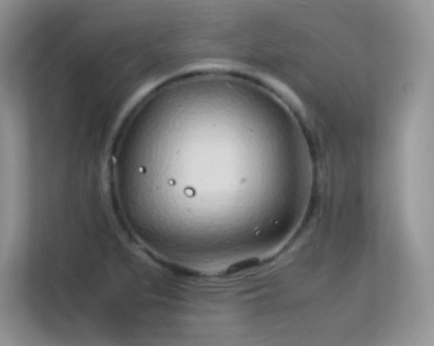 X0000113561279200909251051