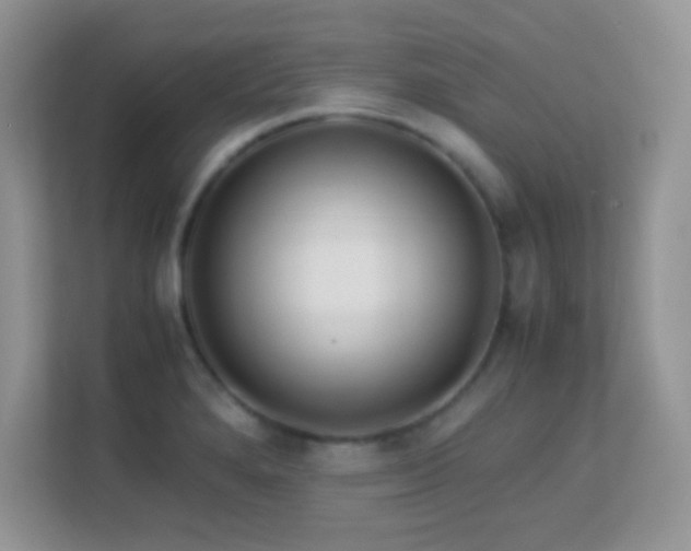 X0000113561280200909251051