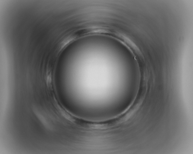 X0000113561281200909251051