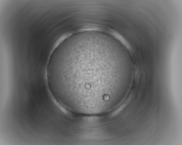 X0000113561282200909251051
