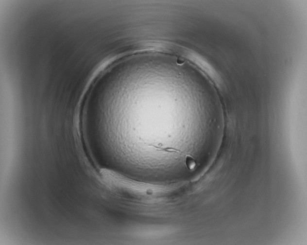 X0000113561283200909251051