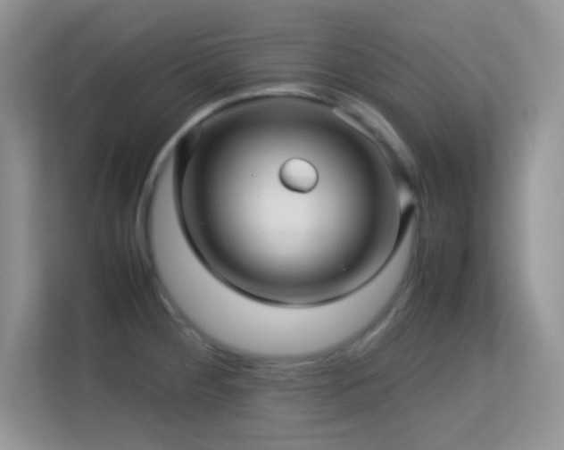 X0000113561284200909251051